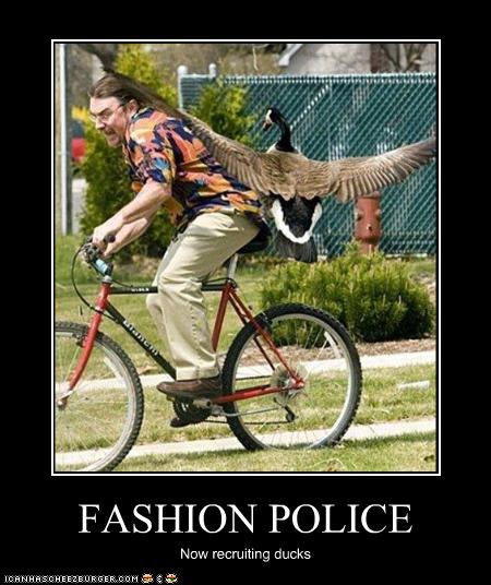 Bilder-Thread uh43048,1252600712,funny-pictures-duck-is-member-of-fashion-police