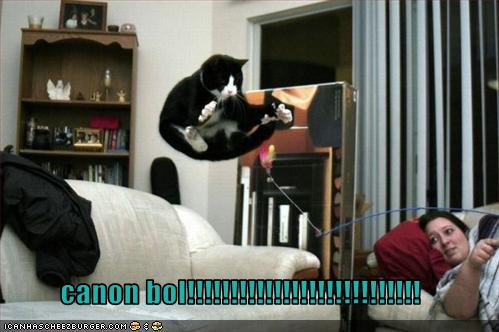 Bilder-Thread uh43048,1252600752,funny-pictures-cat-does-cannon-ball