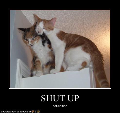 Bilder-Thread uh43048,1253457584,funny-pictures-cat-tells-friend-to-shut-up