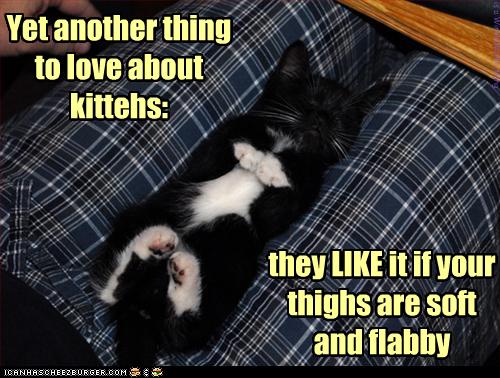 Bilder-Thread uh43048,1253457663,funny-pictures-cat-likes-your-thighs