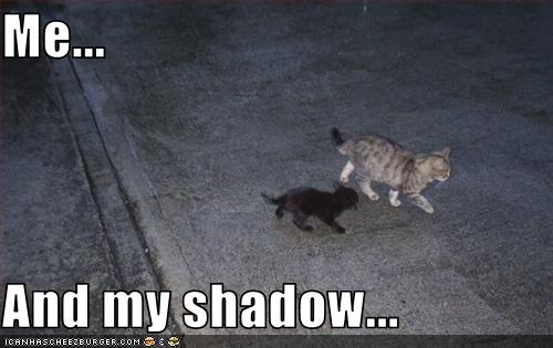 Bilder-Thread uh43048,1255440781,funny-pictures-kitten-has-shadow