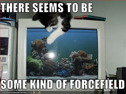 Bilder-Thread uh43048,1255440820,funny-pictures-cat-sees-computer-forcefield
