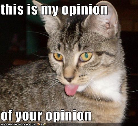 Bilder-Thread uh43048,1255447706,funny-pictures-cat-hates-your-opinion