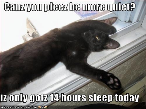 Bilder-Thread uh43048,1255447721,funny-pictures-cat-needs-to-sleep-more