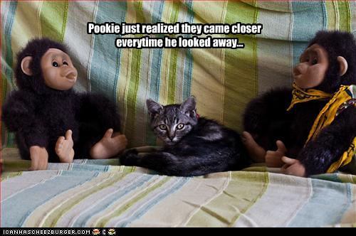 Bilder-Thread uh43048,1255447762,funny-pictures-cat-is-scared-of-monkeys