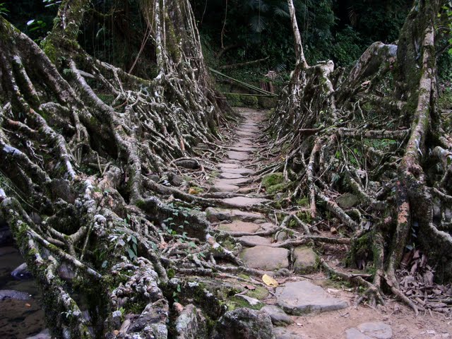Bilder-Thread uh43048,1255985330,69349915 fc5eb5d5f5 b