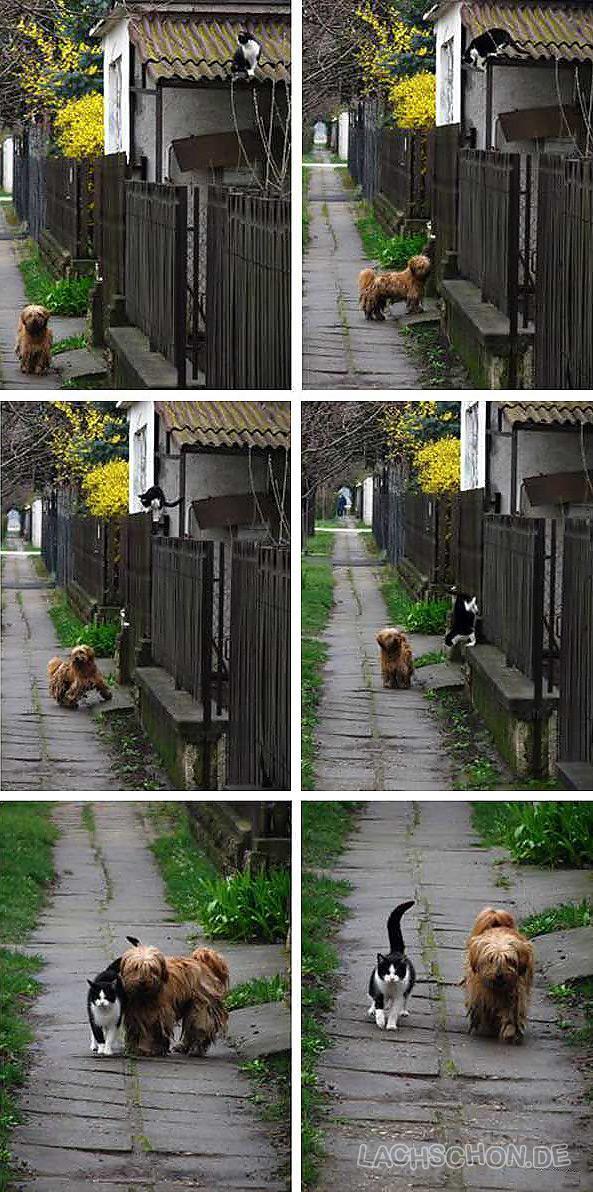 Bilder-Thread uh43048,1256390157,56281 kommt vor