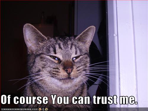 Bilder-Thread uh43048,1256477894,funny-pictures-cat-is-trustworthy