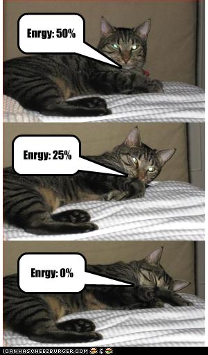 Bilder-Thread uh43048,1256477985,funny-pictures-cat-is-losing-energy