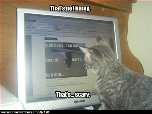 Bilder-Thread uh43048,1256839188,funny-pictures-cat-is-scared-of-lol