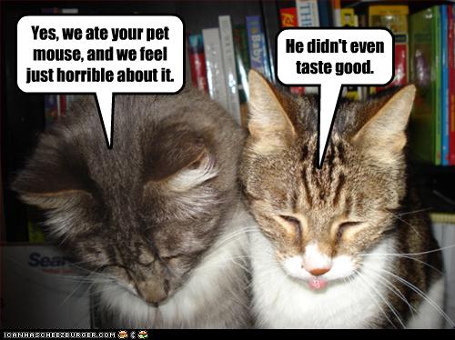 Bilder-Thread uh43048,1256839353,funny-pictures-cats-ate-your-pet-mouse