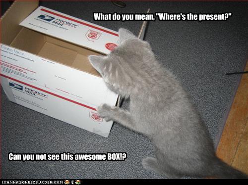 Bilder-Thread uh43048,1256839368,funny-pictures-cat-got-you-a-box