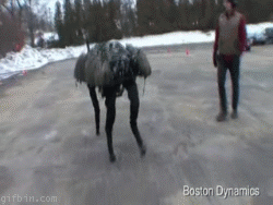 Bilder-Thread uh43048,1257152519,1255689615 big dog balance demontsration