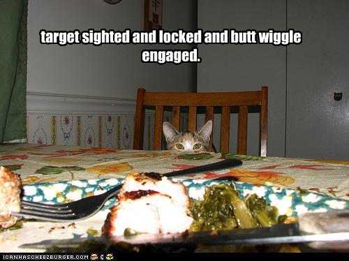 Bilder-Thread uh43048,1257156652,funny-pictures-cat-engages-butt-wiggle