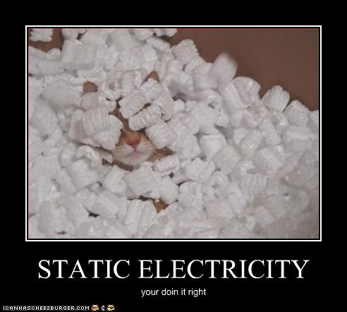 Bilder-Thread uh43048,1257156681,funny-pictures-cat-does-static-electricity-right