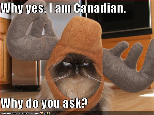 Bilder-Thread uh43048,1257445341,funny-pictures-cat-is-canadian