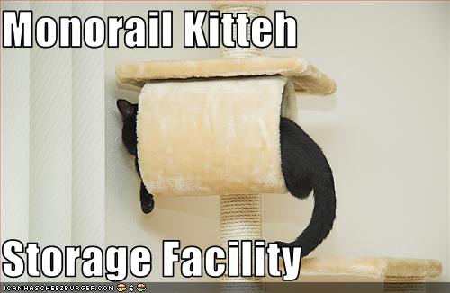 Bilder-Thread uh43048,1257445352,funny-pictures-monorail-cat-is-stored
