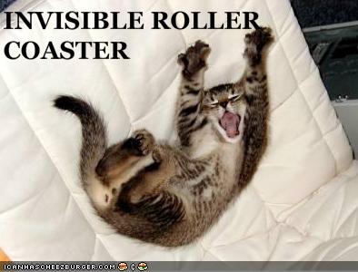 Bilder-Thread uh43048,1257445371,funny-pictures-kitten-is-on-invisible-rollercoaster2