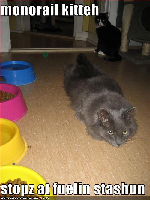 Bilder-Thread uh43048,1257445436,funny-pictures-monorail-cat-stops-at-fueling-station