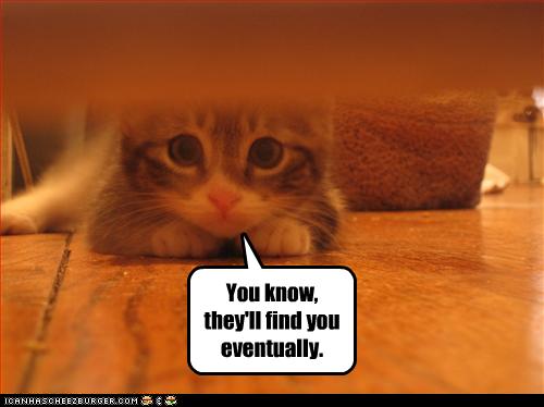 Bilder-Thread uh43048,1257445469,funny-pictures-kitten-says-they-will-find-you