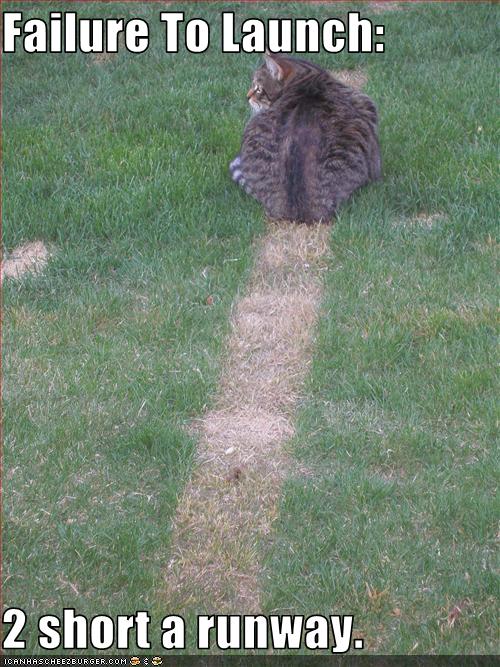 Bilder-Thread uh43048,1257445486,funny-pictures-cat-did-not-launch