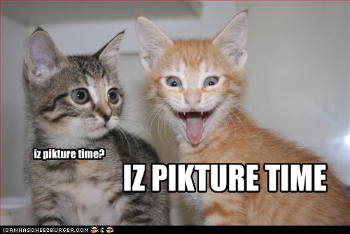 Bilder-Thread uh43048,1257445541,funny-pictures-kitten-is-ready-for-picture
