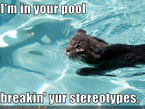 Bilder-Thread uh43048,1257702612,funny-pictures-cat-swims-in-pool