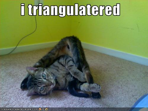 Bilder-Thread uh43048,1257849048,funny-pictures-cat-is-in-triangle