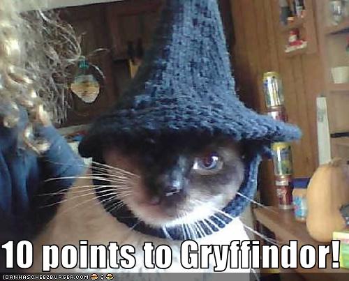 Bilder-Thread uh43048,1257849102,funny-pictures-cat-wears-wizard-hat