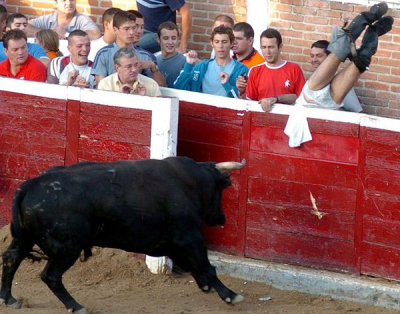 Bilder-Thread uh43048,1257889108, WhenBullGoesMad