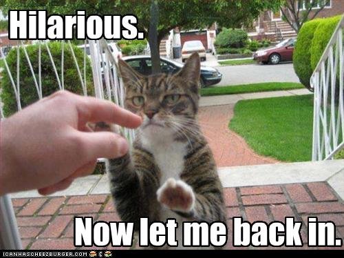 Bilder-Thread uh43048,1258144069,funny-pictures-cat-wants-to-be-allowed-back-in