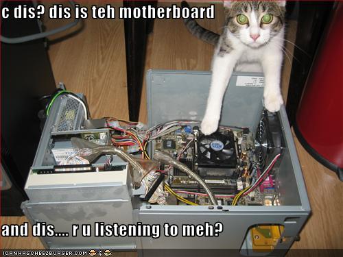 Bilder-Thread uh43048,1258144126,funny-pictures-cat-explains-computers