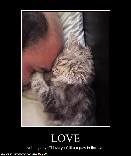 Bilder-Thread uh43048,1258144226,funny-pictures-napping-cat-loves-you