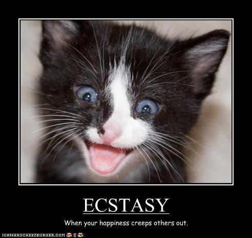 Bilder-Thread uh43048,1258144255,funny-pictures-kitten-is-too-happy