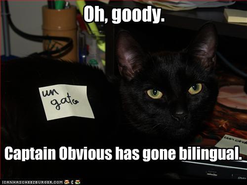 Bilder-Thread uh43048,1258224711,funny-pictures-cat-hates-post-it-note