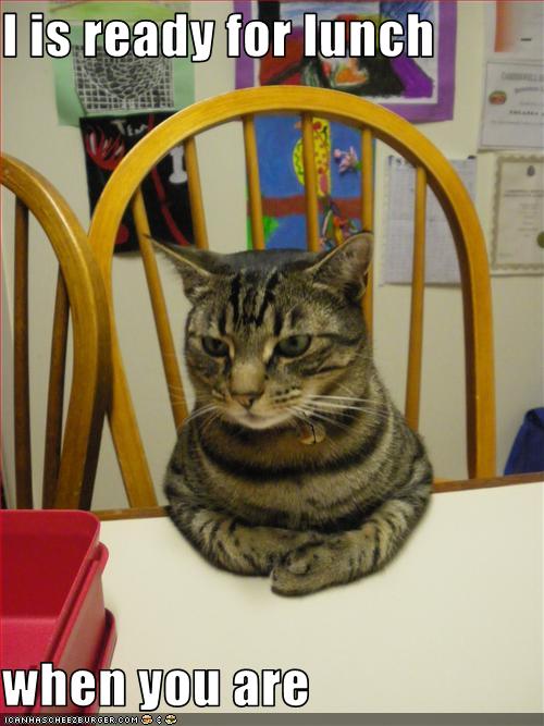 Bilder-Thread uh43048,1258539927,funny-pictures-cat-is-ready-for-lunch