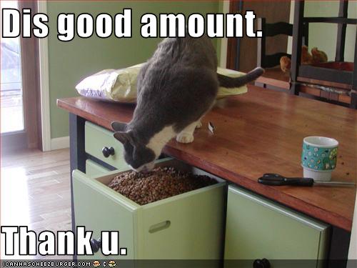 Bilder-Thread uh43048,1258539940,funny-pictures-cat-is-satisfied-with-food
