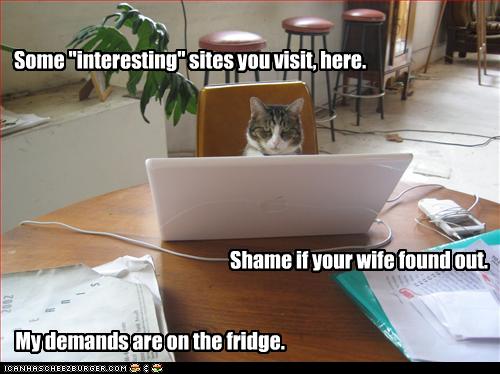 Bilder-Thread uh43048,1258539957,funny-pictures-cat-blackmails-you