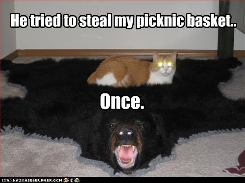Bilder-Thread uh43048,1258539970,funny-pictures-cat-sleeps-on-bear-pelt