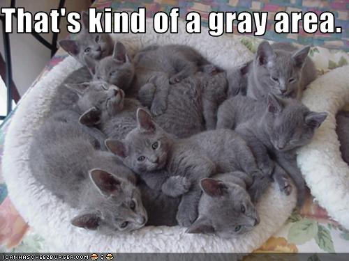 Bilder-Thread uh43048,1258539991,funny-pictures-kittens-are-grey