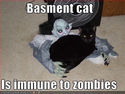 Bilder-Thread uh43048,1258540004,funny-pictures-basement-cat-is-immune-to-zombies