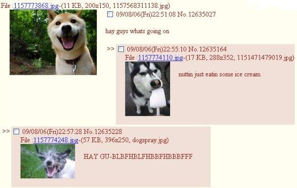 Bilder-Thread uh43048,1258665005,be94na96dz92ex353