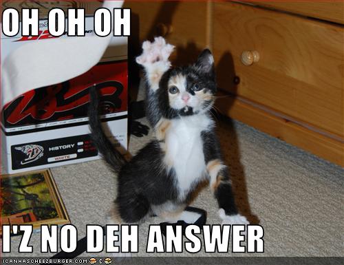 Bilder-Thread uh43048,1258886285,funny-pictures-kitten-knows-the-answer