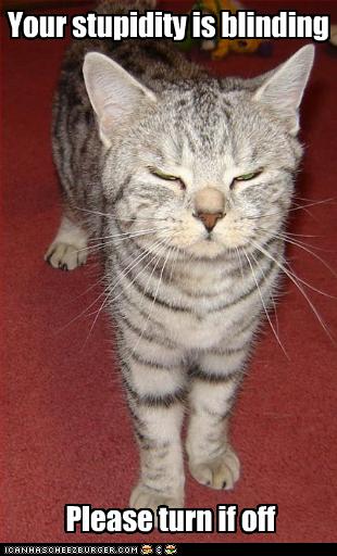 Bilder-Thread uh43048,1258886459,funny-pictures-cat-calls-you-stupid1