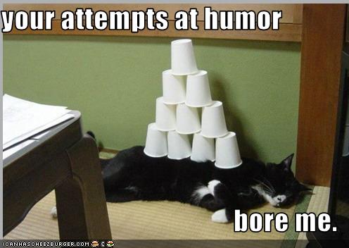 Bilder-Thread uh43048,1258886543,funny-pictures-cat-is-not-amused