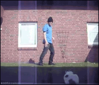 Bilder-Thread uh43048,1258972268,Cat attacks Breakdancer