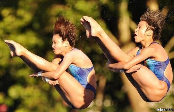 Bilder-Thread uh43048,1258985420,Funny Pictures 6812