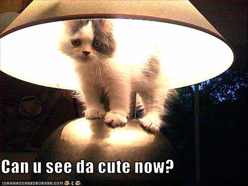 Bilder-Thread uh43048,1259253566,funny-pictures-cat-is-under-lamp