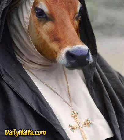 Bilder-Thread uh43048,1259269545,weird nun