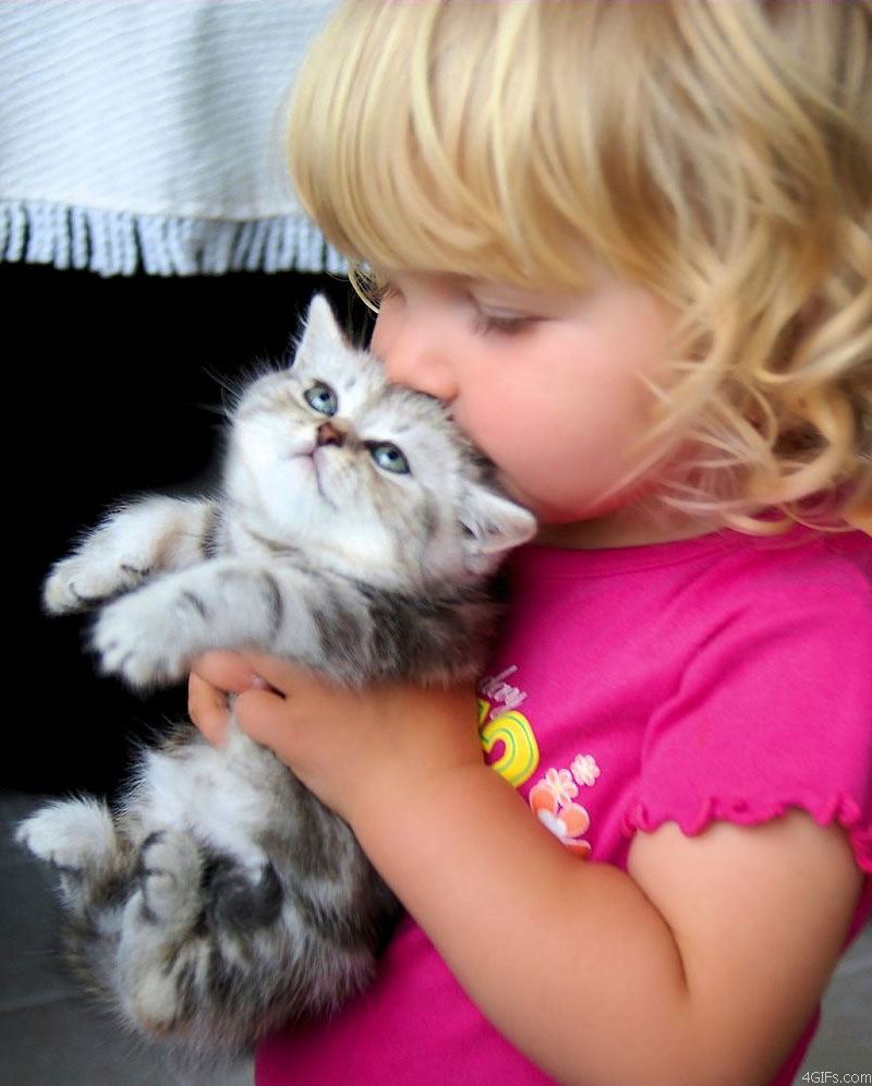 Bilder-Thread uh43048,1259324389,271109131906 Kittensqueeze